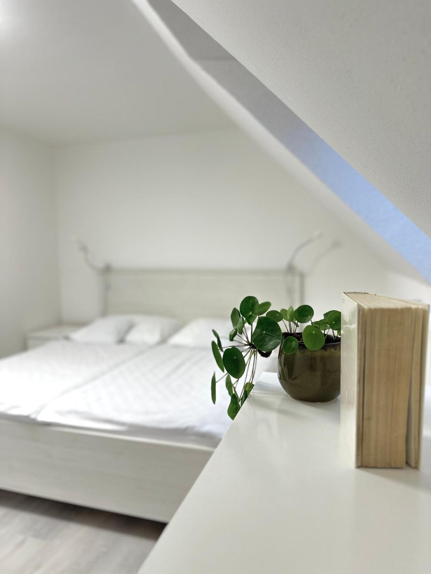 Apartment Nela Павчіна-Легота Екстер'єр фото